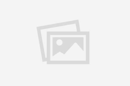 Vente de Smartphones